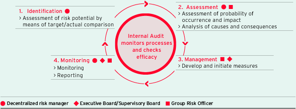 Risk management process (graphic)
